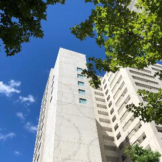 整體概覽