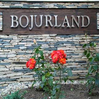 Bojurland Village - Complex