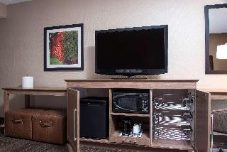 1 King Hearing Accessible W/Sofabed Nosmok
