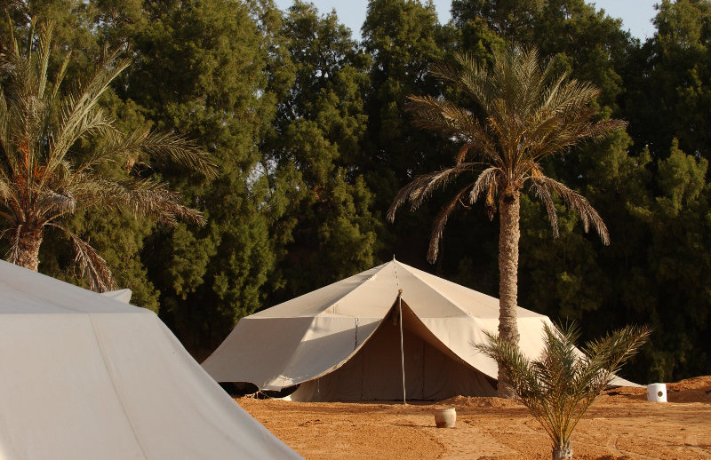 General view
 di Campement Yadis Ksar Ghilane