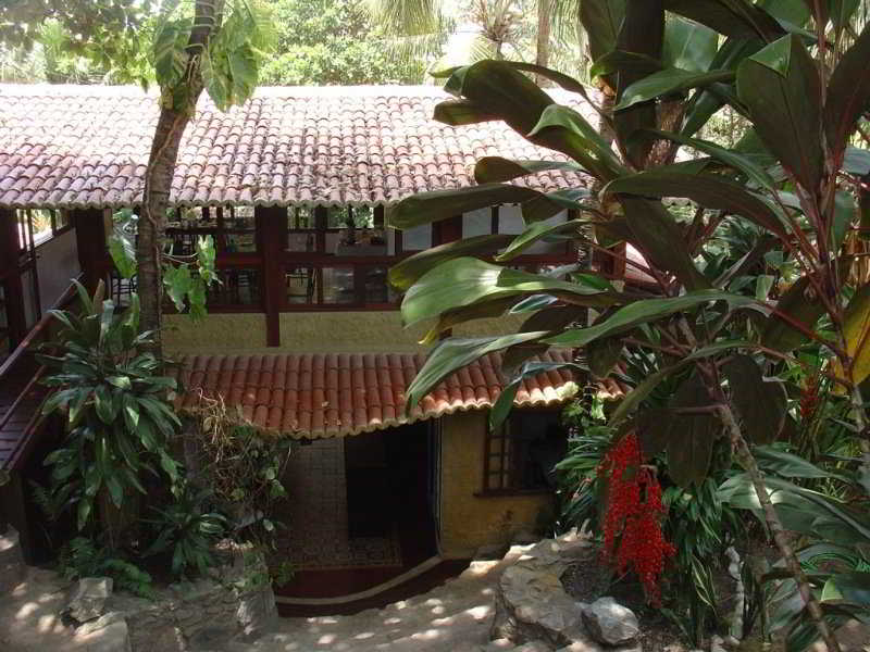 General view
 di Pousada Tamandua