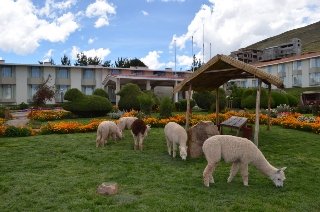 General view
 di Eco Inn Puno