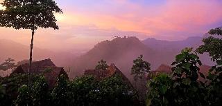 98 Acres Resort