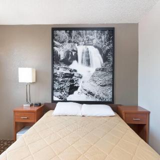 Room Room