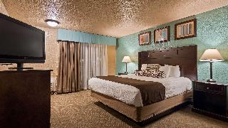 1 King Bed  Non-Smoking Flat Screen Television Microwave And Refrigerator High Speed Internet Access