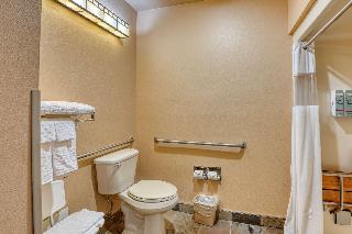 ACCESSIBLE - 1 QUEEN,MOBILITY ACCESSIBLE,ROLL IN SHOWER,NSMK,FULL BREAKFAST