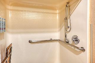 ACCESSIBLE - 1 QUEEN,MOBILITY ACCESSIBLE,ROLL IN SHOWER,NSMK,FULL BREAKFAST