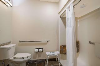ACCESSIBLE - 1 QUEEN,MOBILITY ACCESSIBLE,ROLL IN SHOWER,NSMK,FULL BREAKFAST
