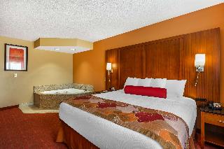 SUITE-1 KING BEDNSMKSOFABED1BEDRMLIVING ROOMJACUZZIFULL BREAKFAST