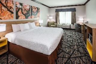 1 King Bed Non-Smoking