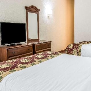 Room Room