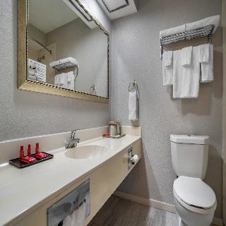 Room Room