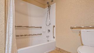 1 KING BED,MOBILITY ACCESSIBLE,BATHTUB,NSMK,FULL BREAKFAST