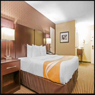 Room Room