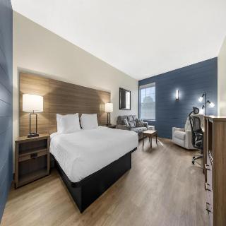 Room Room