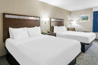Room Room