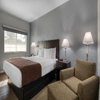Room Room