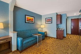 SUITE-1 KING BED,NSMK,HISPD,SOFABD,DESK,MICRFG,CONTINENTAL BREAKFAST