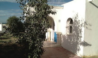 General view
 di Hotel Solymar