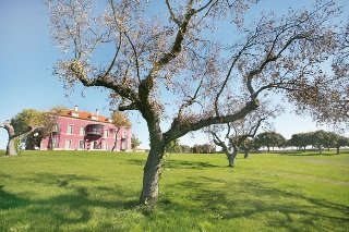 General view
 di Posada Real Palacio Carrascalino
