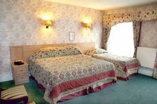 Room
 di The Bold Hotel