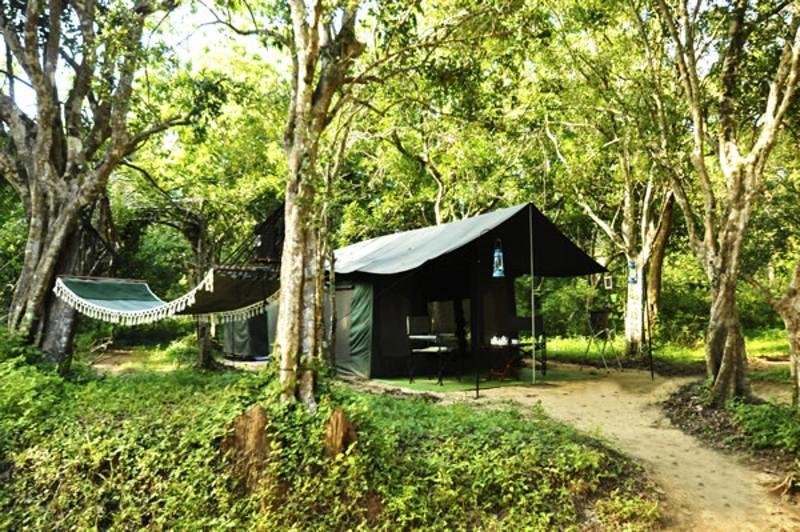 General view