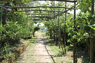 Agriturismo Piccolo Paradiso, Sorrento