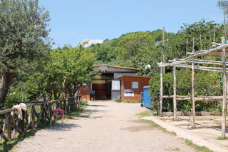 Agriturismo Piccolo Paradiso, Sorrento