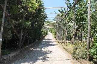 Agriturismo Piccolo Paradiso, Sorrento