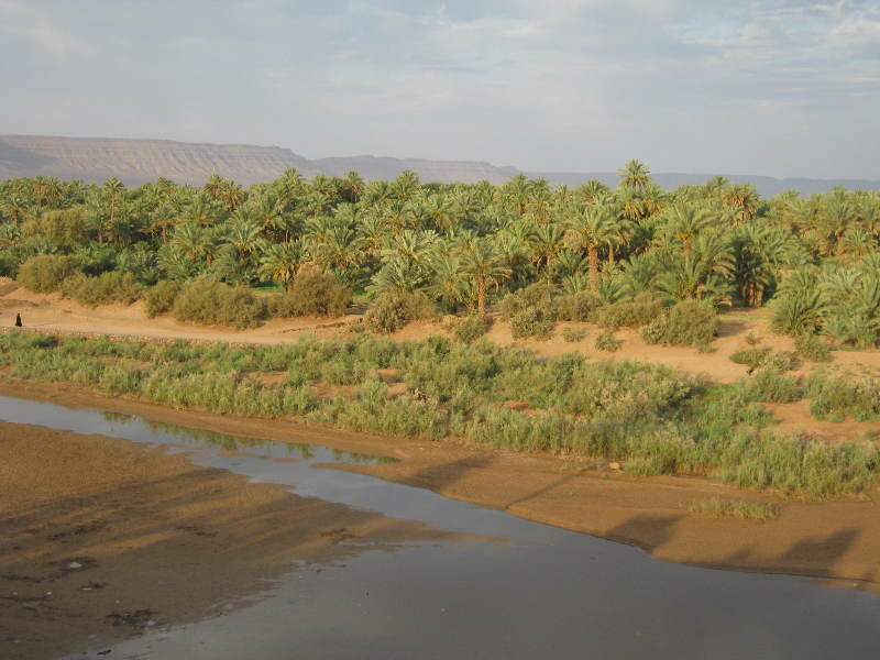 General view
 di Kasbah Toda Tinfou