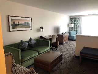 Suite-1 King Bed, Non-Smoking, Second Bed Sofabed, High Speed Internet Access, Microwave And Refrige