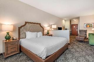 Suite-1 King Bed, Non-Smoking, Second Bed Sofabed, High Speed Internet Access, Microwave And Refrige