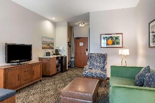 Suite-1 King Bed, Non-Smoking, Second Bed Sofabed, High Speed Internet Access, Microwave And Refrige