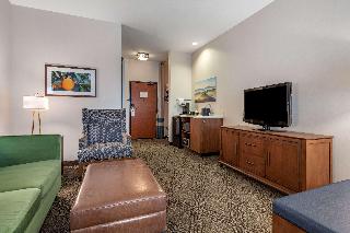 Suite-1 King Bed, Non-Smoking, Second Bed Sofabed, High Speed Internet Access, Microwave And Refrige