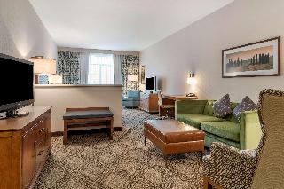 Suite-1 King Bed, Non-Smoking, Second Bed Sofabed, High Speed Internet Access, Microwave And Refrige