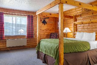 Room Room
