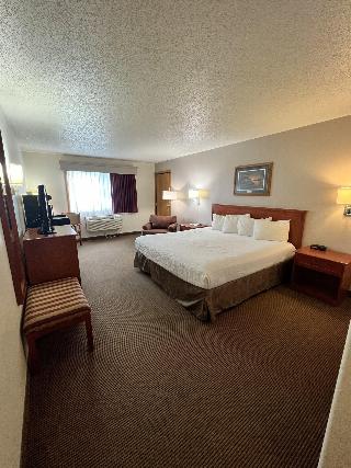 Room Room