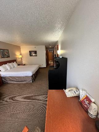 Room Room