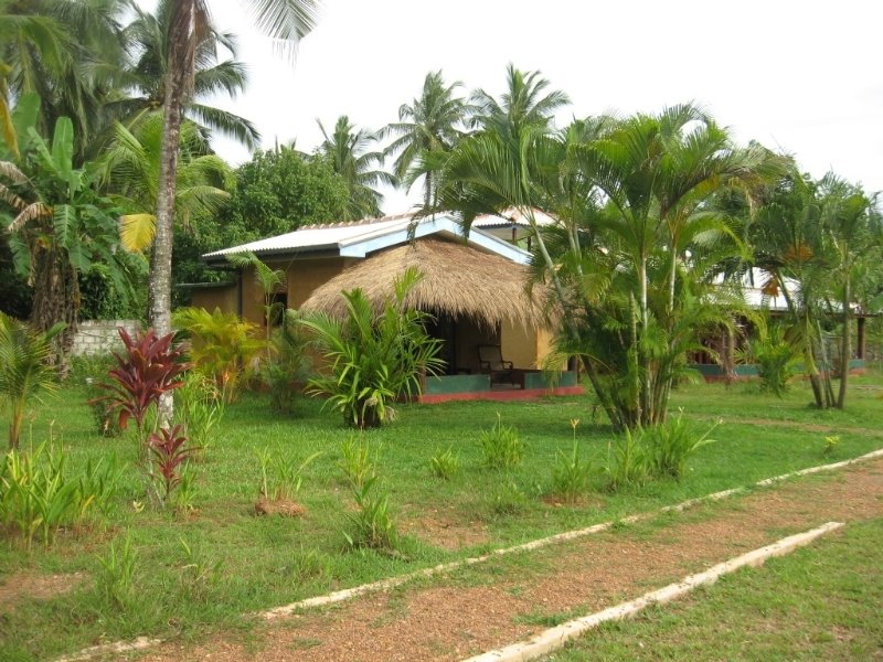 General view
 di Mangrove Villa