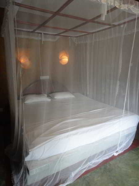 Room
 di Mangrove Villa