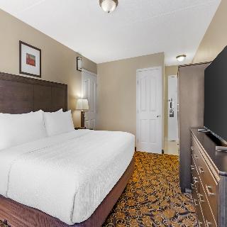 Room Room