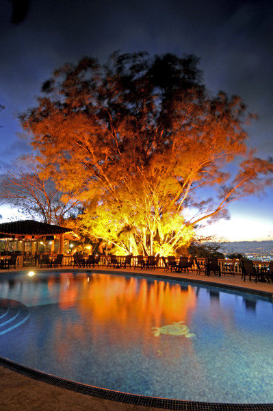 Pool
 di Ringle Resort Hotel & Spa