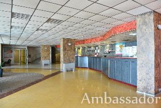 Ambassador