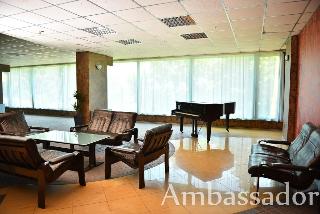 Ambassador