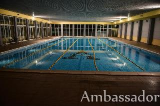 Ambassador