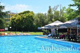 Ambassador