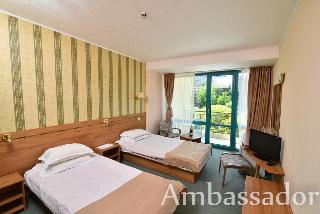 Ambassador