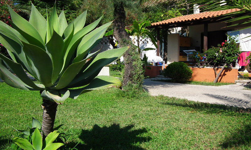 Terrace
 di Villaggio Athragon