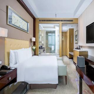 Room Room