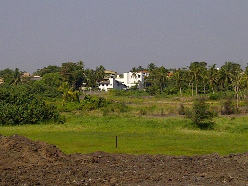 General view
 di The Saffron